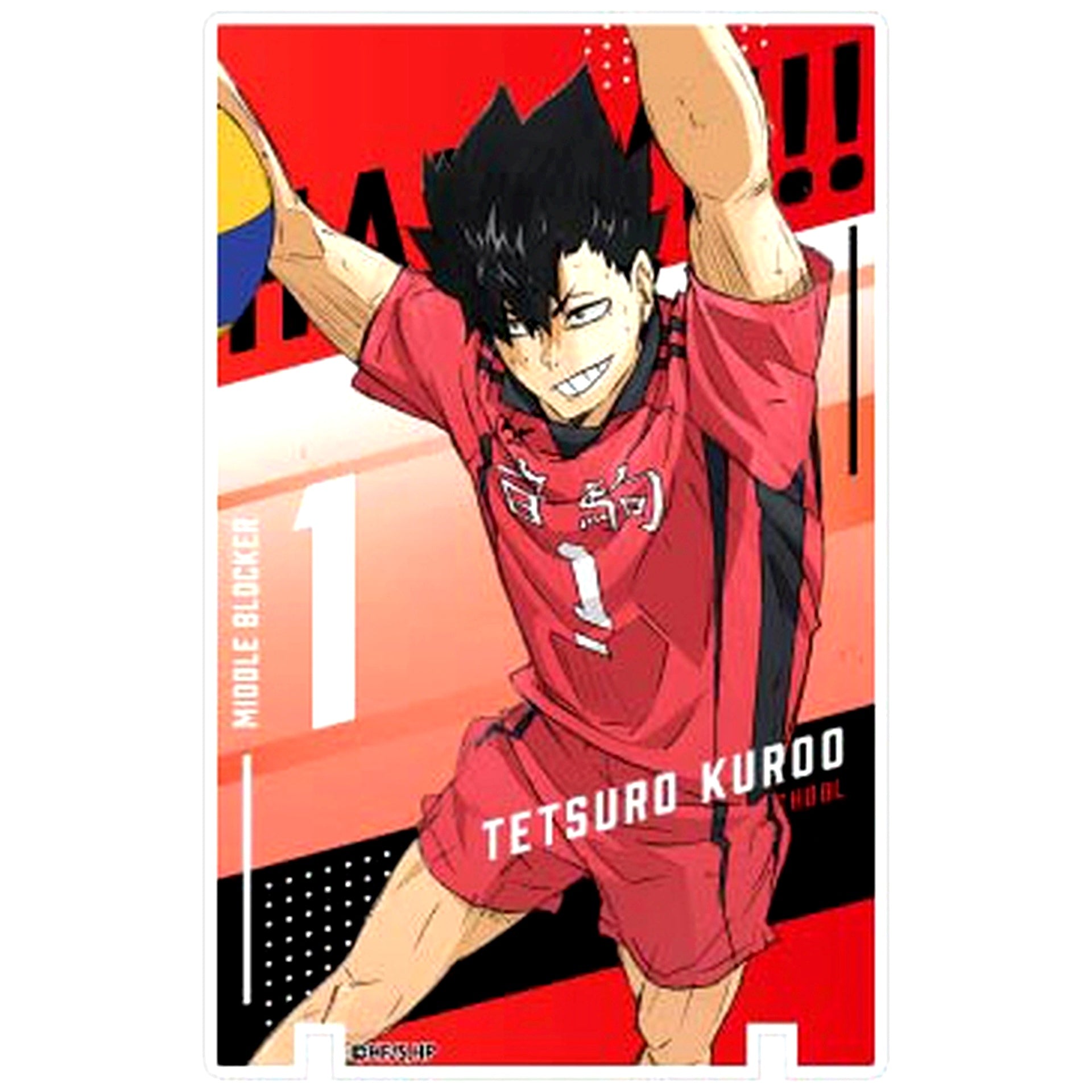 Tetsuro Kuroo Art Panel Collection Haikyu!! The Dumpster Battle Vol.2 Nekoma High School BOX [USED]
