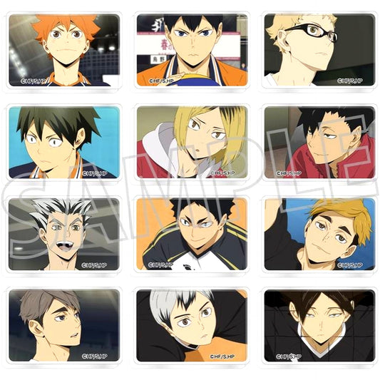 Set of 12 Haikyu!! Mini Acrylic Block Collection Vol. 4 [USED]
