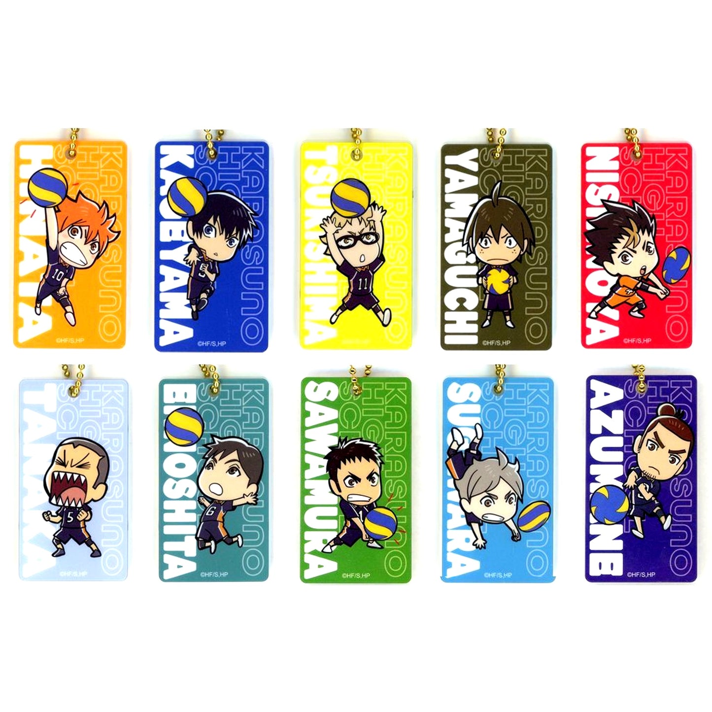 Set of 10 Haikyu!! Anime 10th Anniversary Zen Kankaku Acrylic Keychain A [USED]