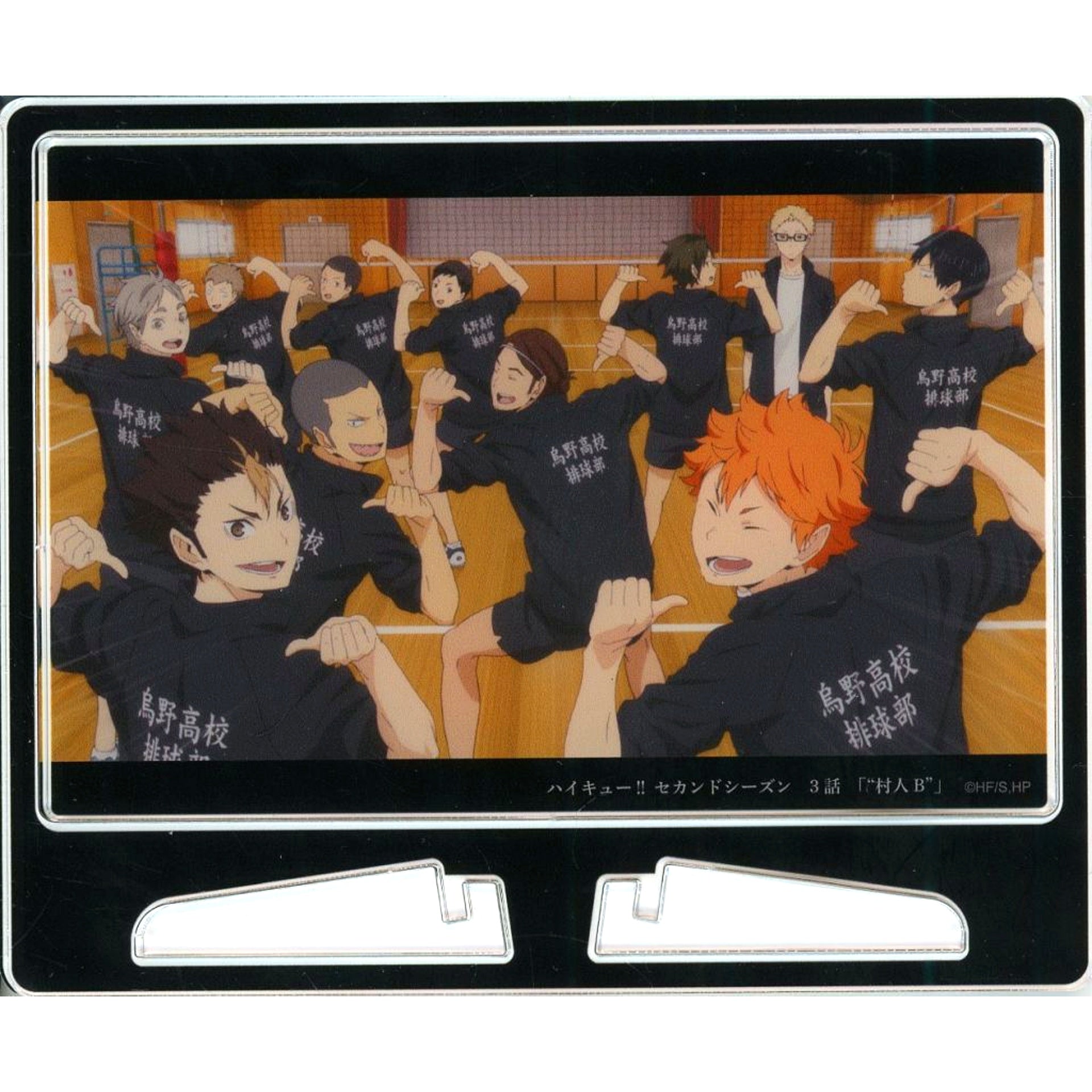 Karasuno High School - A Jersey Acrylic Art Panel Haikyu!! Anime 10th Anniversary Exhibition Zenkankaku EXHIBITION [USED]