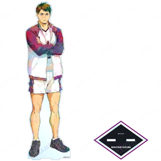 Wakatoshi Ushijima Haikyu!! Ani-Art Vol. 5 Oversized Acrylic Stand [USED]