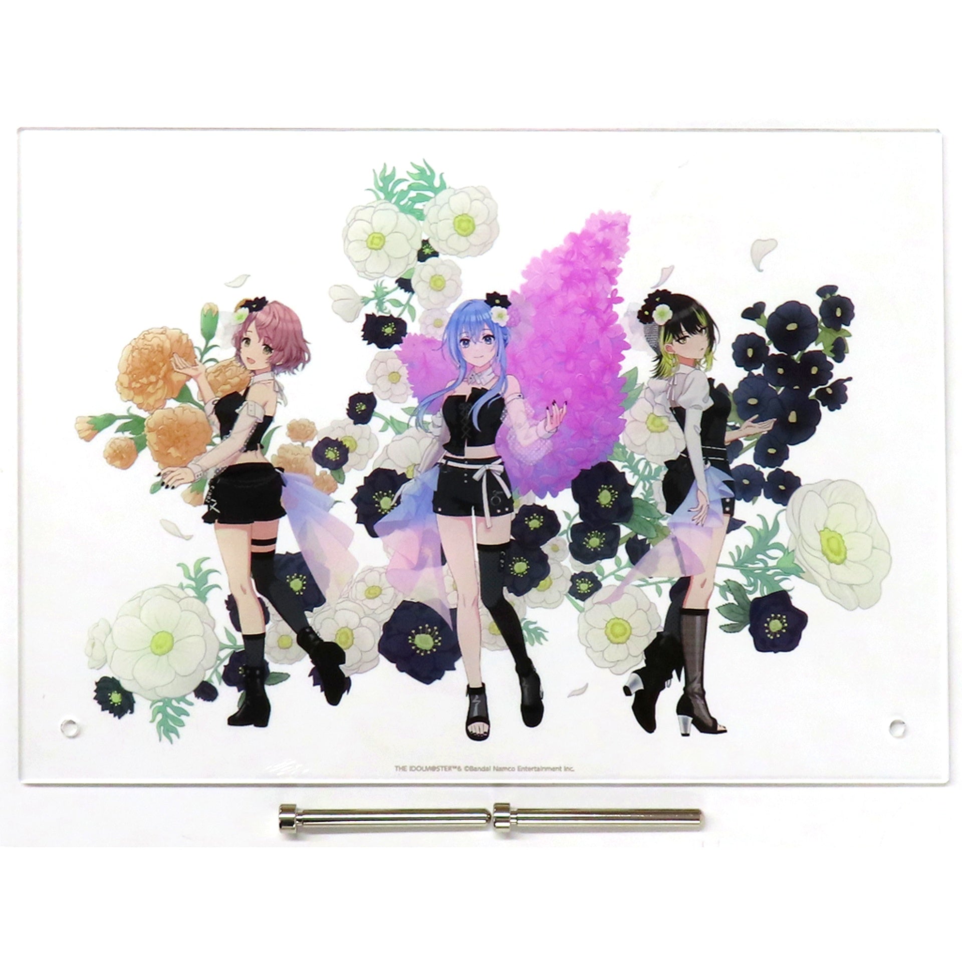 Cometic THE IDOLM@STER SHINY COLORS Official Acrylic Panel 6.5th Anniversary LIVE [USED]