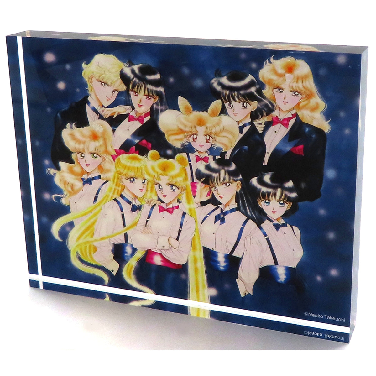 All Characters Acrylic Block Sailor Moon Raisonne ART WORKS 1991-2023 Release Commemorative Exhibition [USED]
