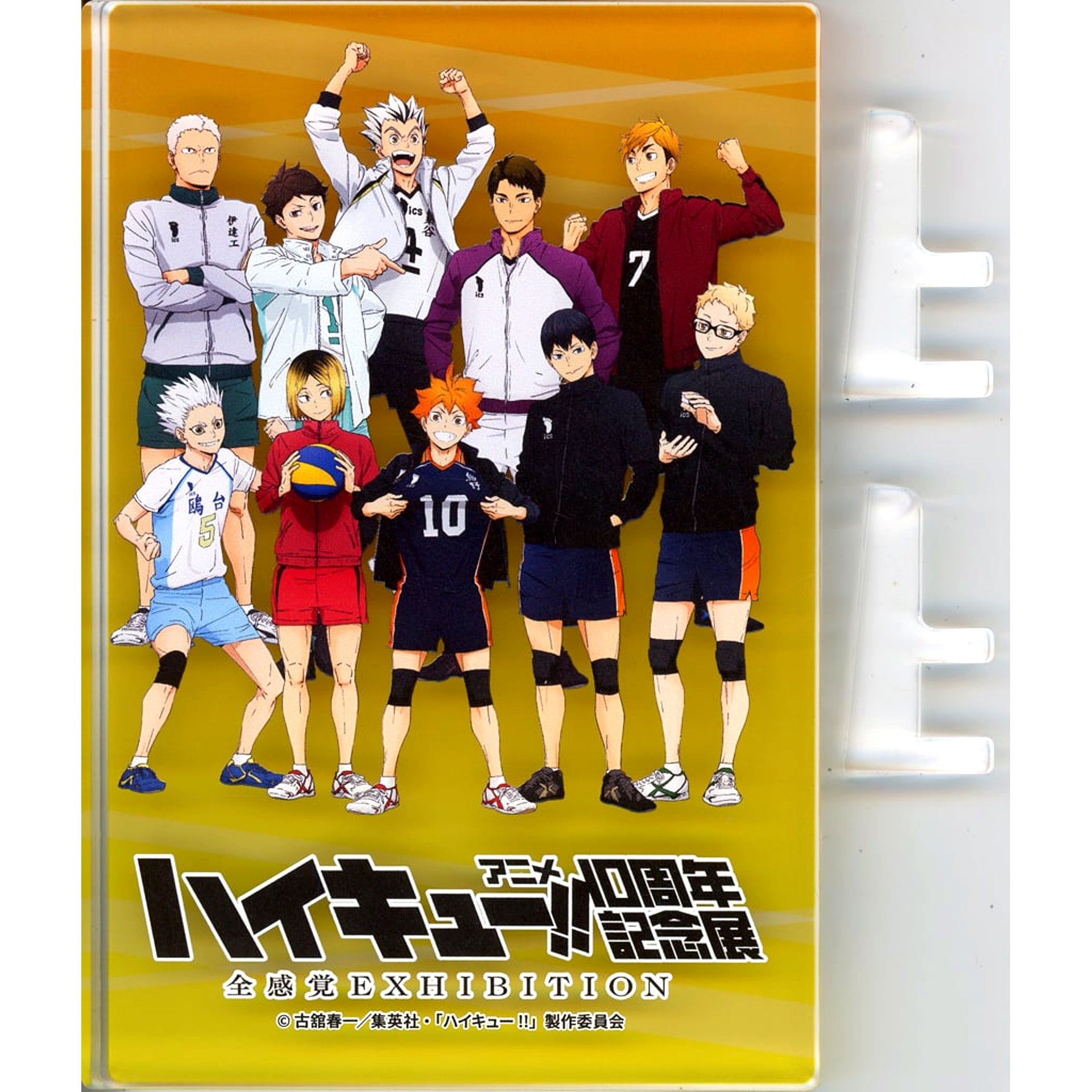 Group - 10th Anniversary Exhibition Illustration - Acrylic Block Haikyu!! Anime 10th Anniversary Exhibition Zenkankaku EXHIBITION [USED]