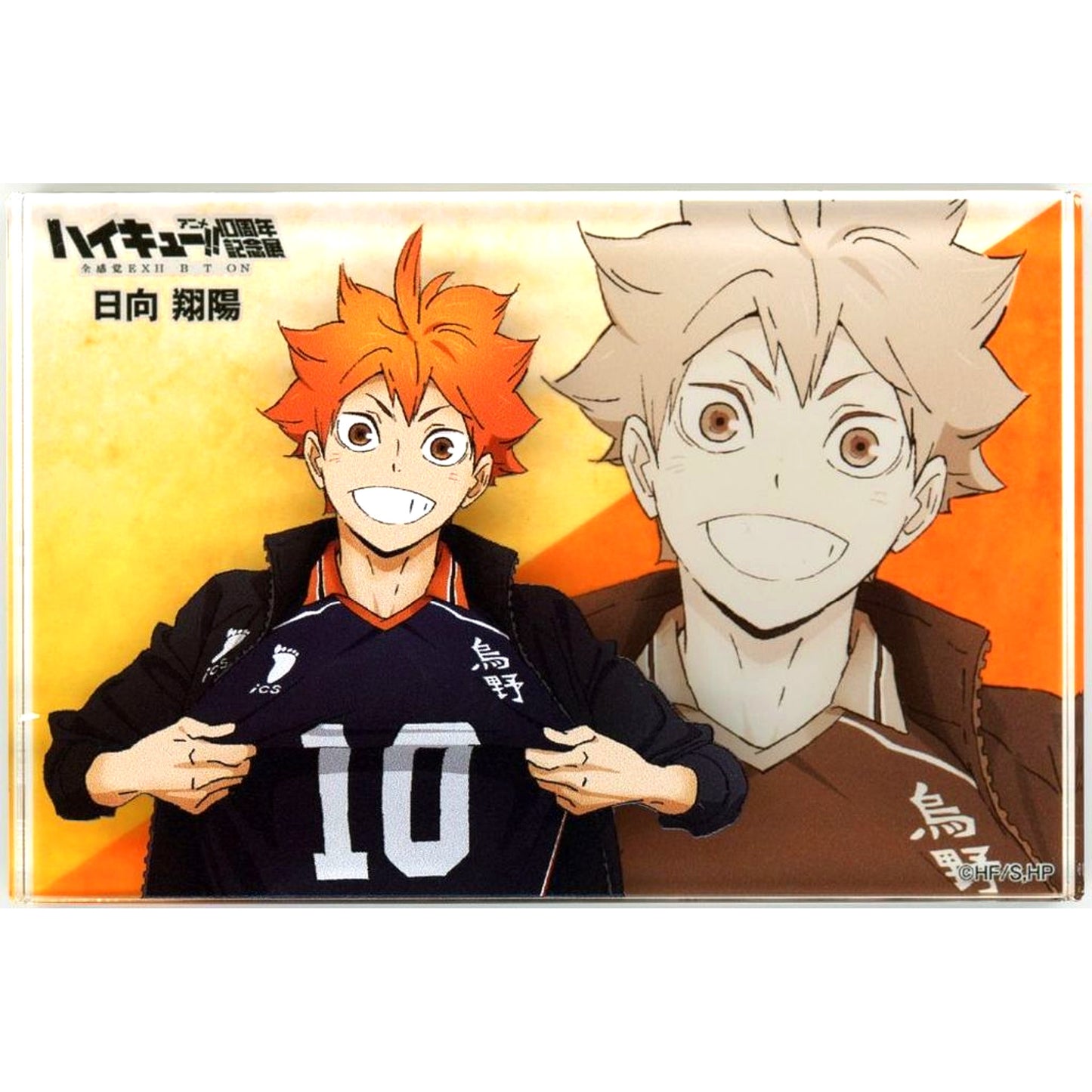 Shoyo Hinata - 10th Anniversary Exhibition Illustration - Acrylic Block Haikyu!! Anime 10th Anniversary Exhibition Zenkankaku EXHIBITION [USED]