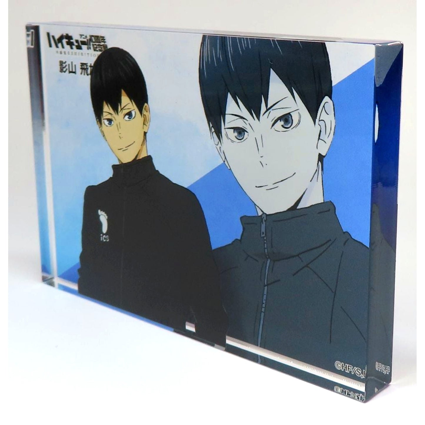 Tobio Kageyama - 10th Anniversary Exhibition Newly Drawn Acrylic Block Haikyu!! Anime 10th Anniversary Exhibition Zenkankaku EXHIBITION [USED]
