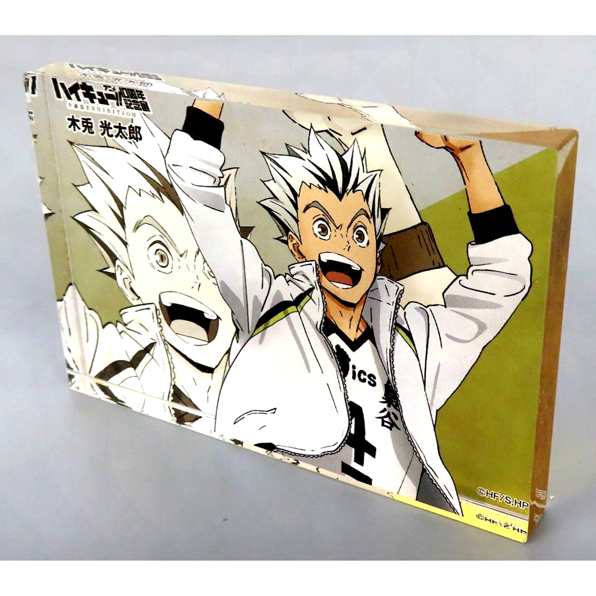 Kotaro Bokuto - 10th Anniversary Exhibition Illustration - Acrylic Block Haikyu!! Anime 10th Anniversary Exhibition Zenkankaku EXHIBITION [USED]
