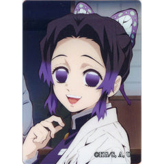 Demon Slayer: Kimetsu no Yaiba Shinobu Kocho Noble Art Collection Vol. 2 Acrylic Stands [USED]