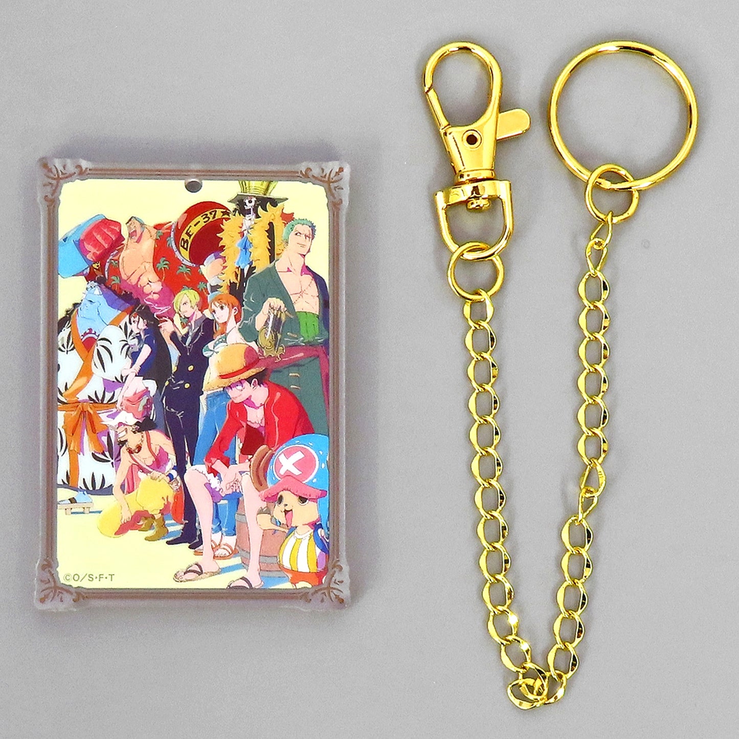 Straw Hat Pirates One Piece Daily Illustration Collection Trading Acrylic Bag Charm [USED]