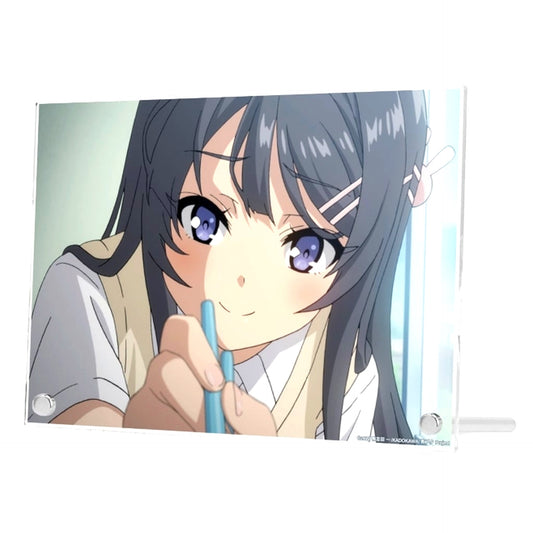Mai Sakurajima Scene Shot A5 Acrylic Panel Ver.B Rascal Does Not Dream of Bunny Girl Senpai [USED]