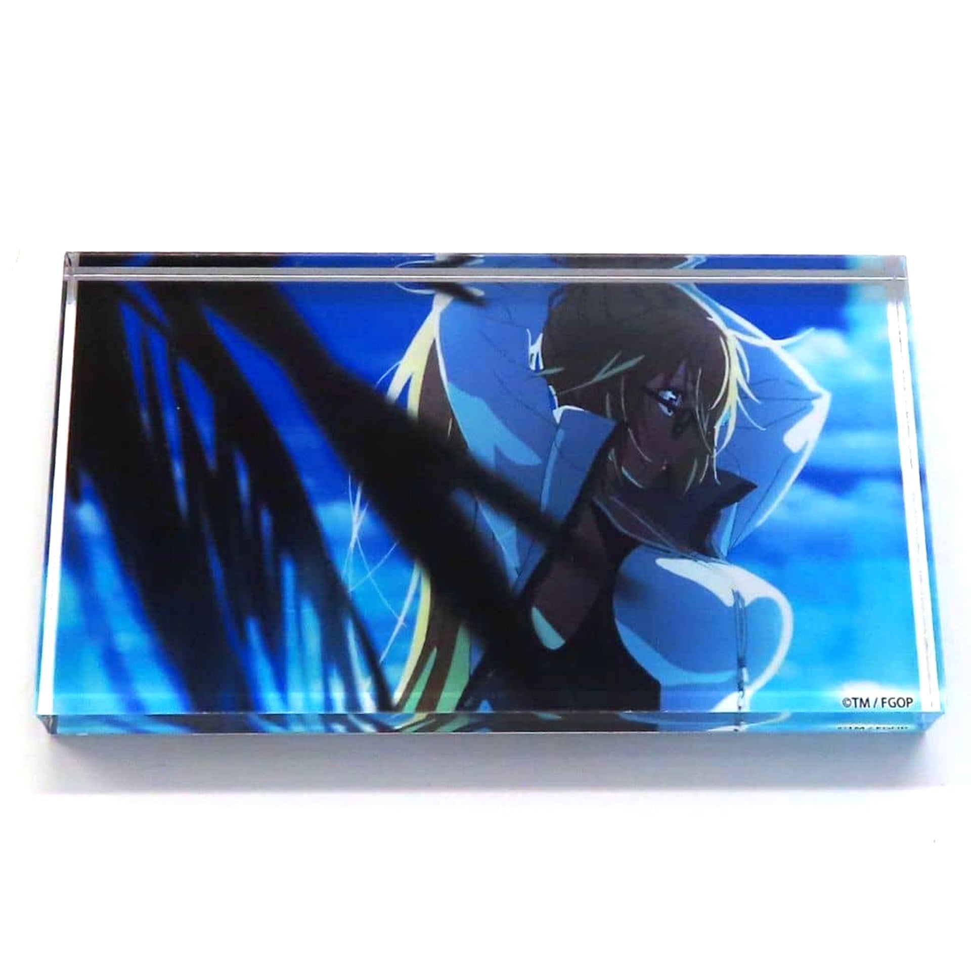 Jeanne d'Arc Archer Swimsuit Fate/Grand Order Fes. 2024 9th Anniversary Random Acrylic Block <Servant Summer Festival!> [USED]