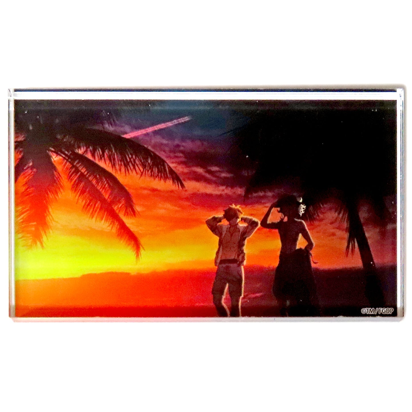 Avenger Edmond Dantes & Archer Robin Hood Fate/Grand Order Fes. 2024 9th Anniversary Servant Summer Festival! Random Acrylic Block [USED]
