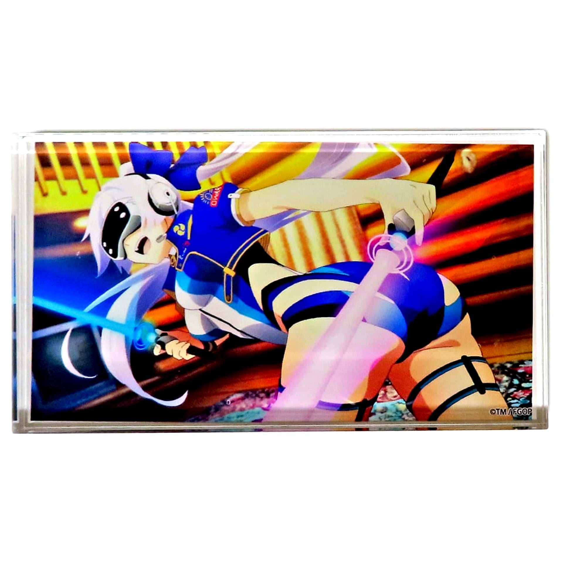Saber Tomoe Gozen Swimsuit Fate/Grand Order Fate/Grand Order Fes. 2024 9th Anniversary Random Acrylic Block <Servant Summer Camp! Chaldea Thriller Night> [USED]