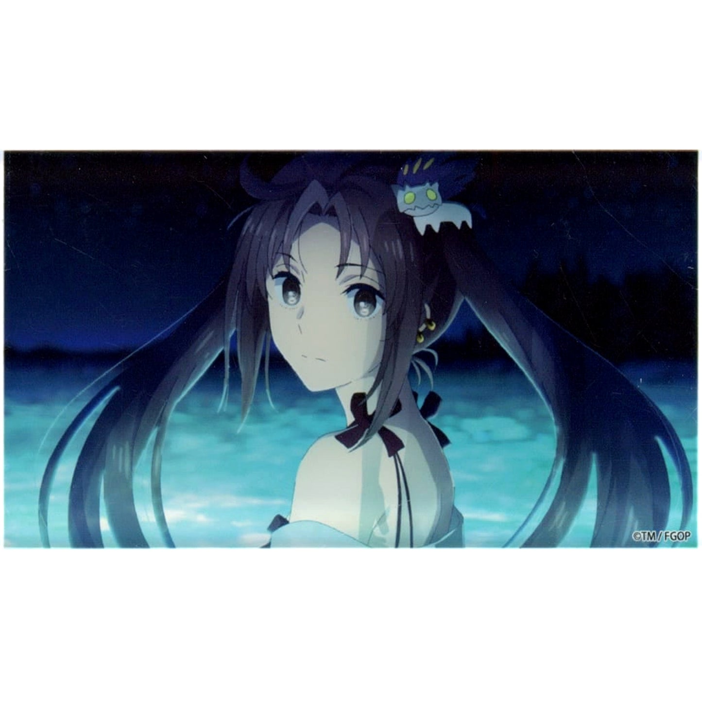 Yu Mei-ren Lancer Swimsuit Fate/Grand Order Fes. 2024 9th Anniversary Random Acrylic Block <Servant Summer Camp! Chaldea's Thriller Night> [USED]
