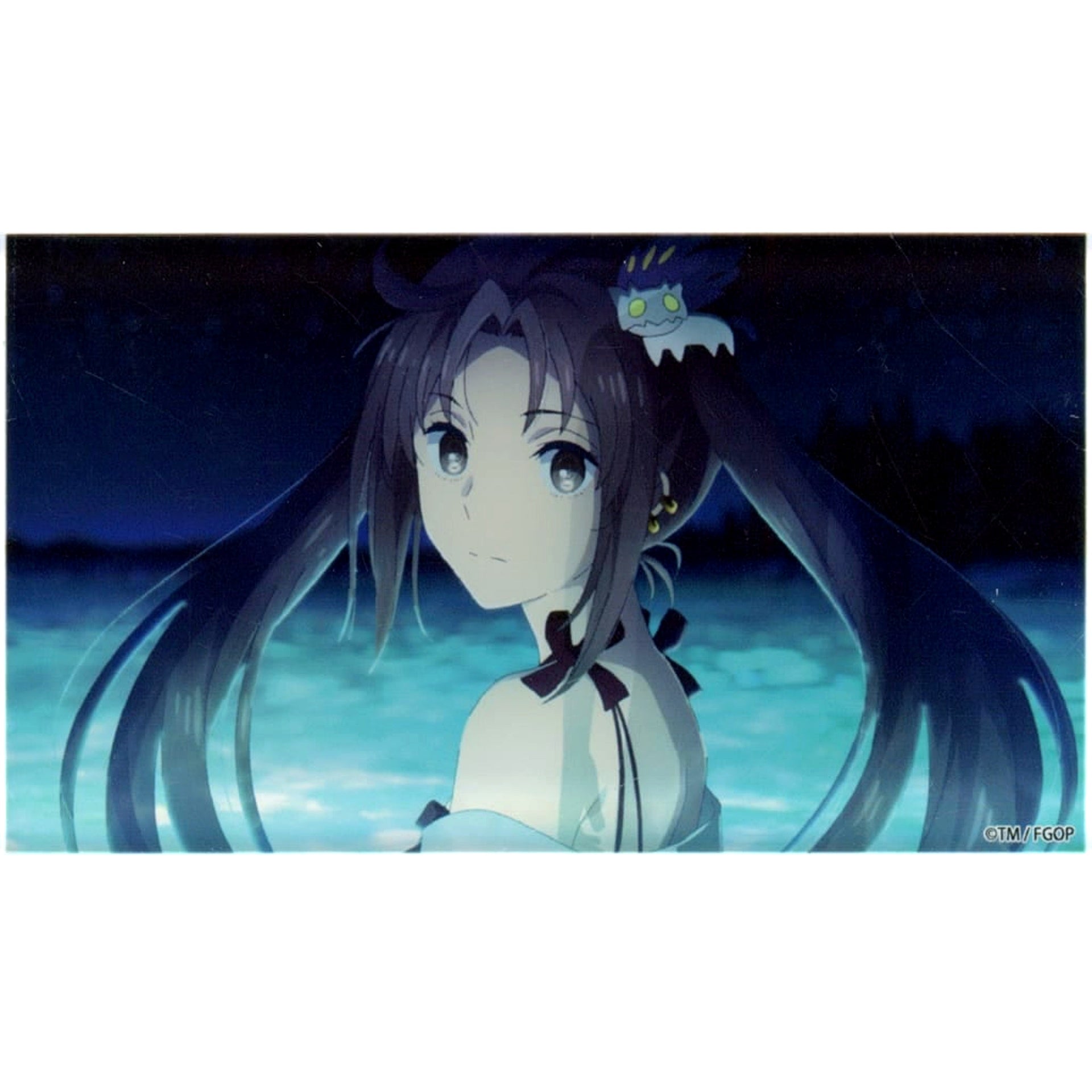 Yu Mei-ren Lancer Swimsuit Fate/Grand Order Fes. 2024 9th Anniversary Random Acrylic Block <Servant Summer Camp! Chaldea's Thriller Night> [USED]