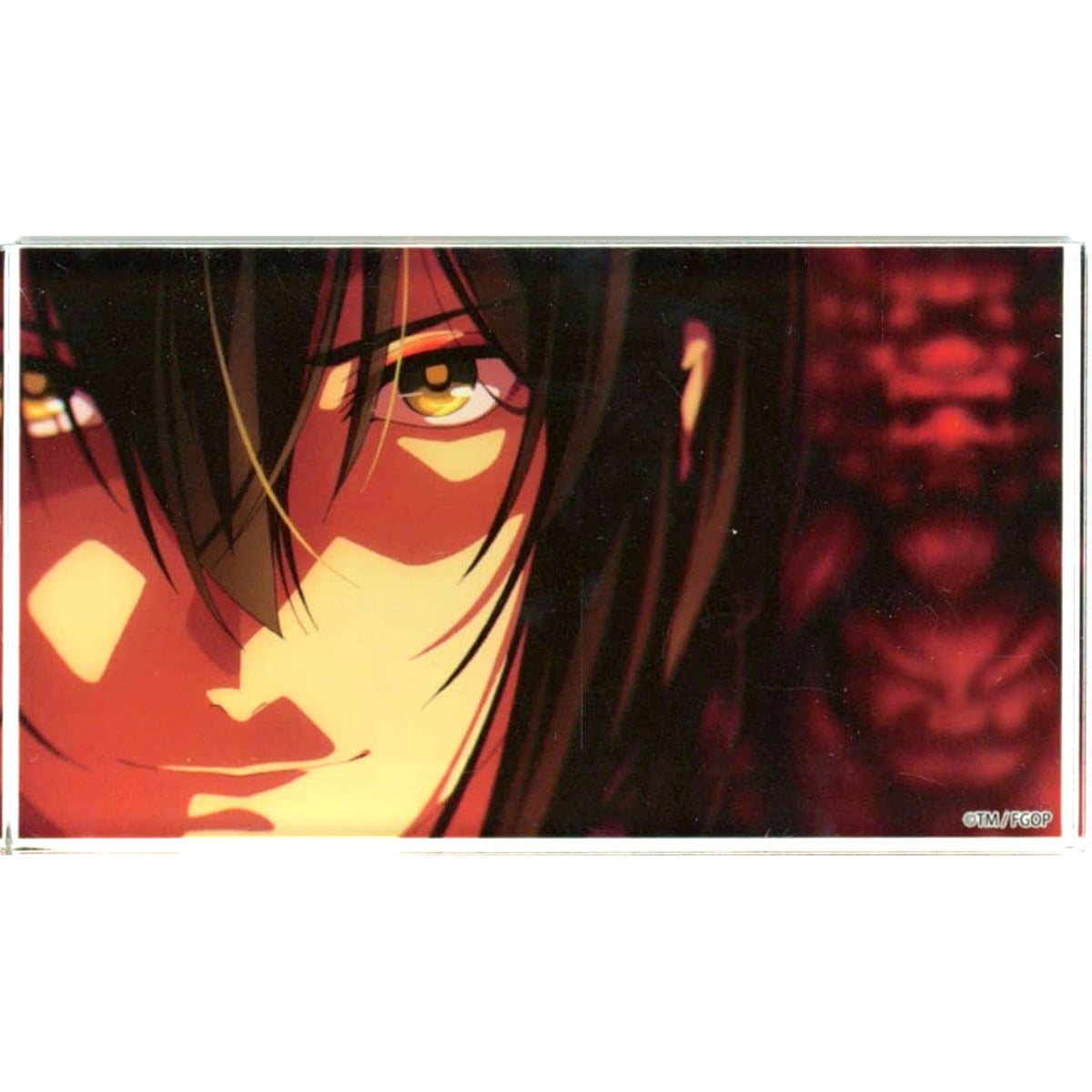 Assassin Yan Qing Fate/Grand Order Fate/Grand Order Fes. 2024 9th Anniversary Random Acrylic Block <Arctic Summer World! Chaldea Midsummer Demon Garden Sightseeing> [USED]