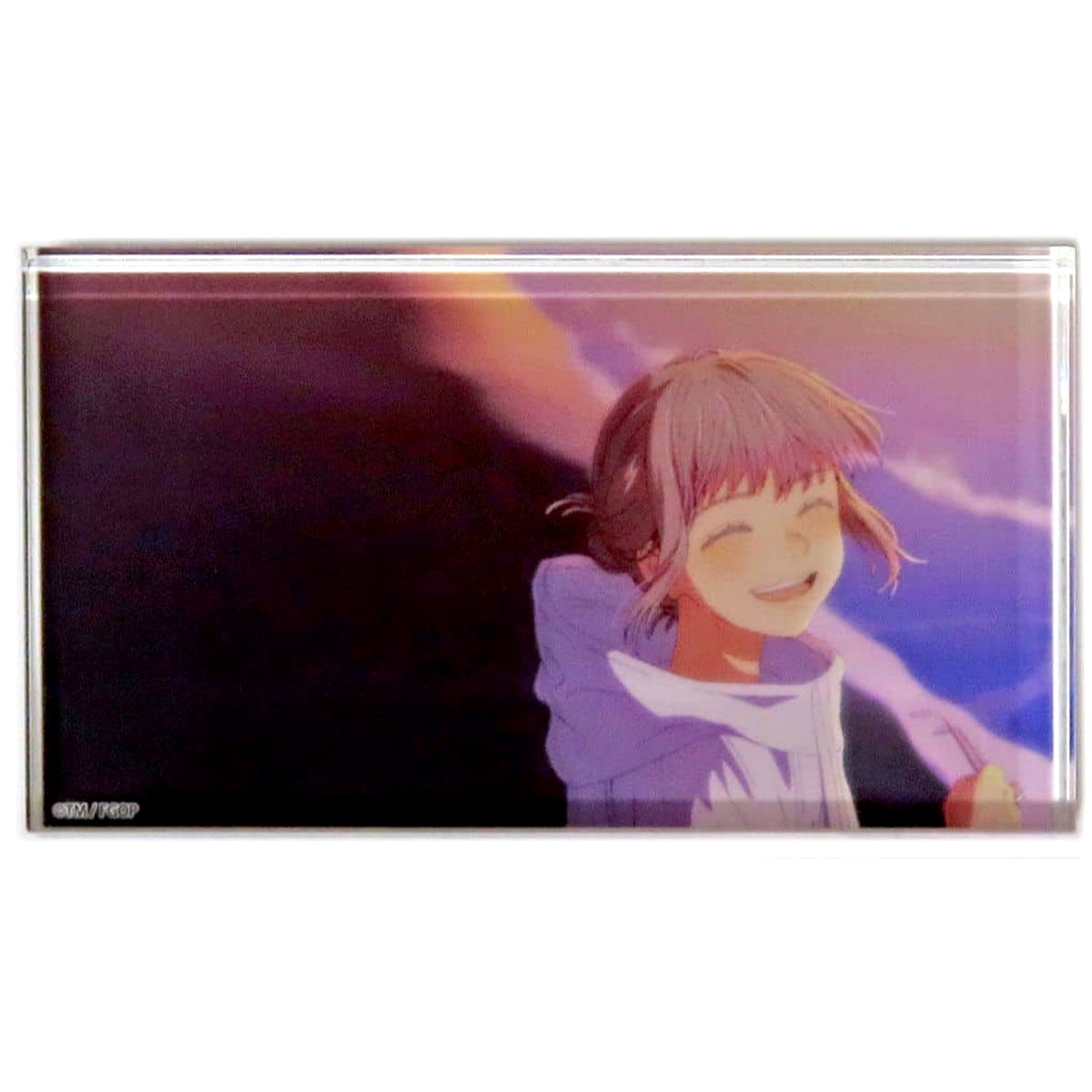 Fate/Grand Order Pretender/Oberon Random Acrylic Blocks Servant Summer Festival 2023! Fes. 2024 9th Anniversary Limited Acrylic Item [USED]