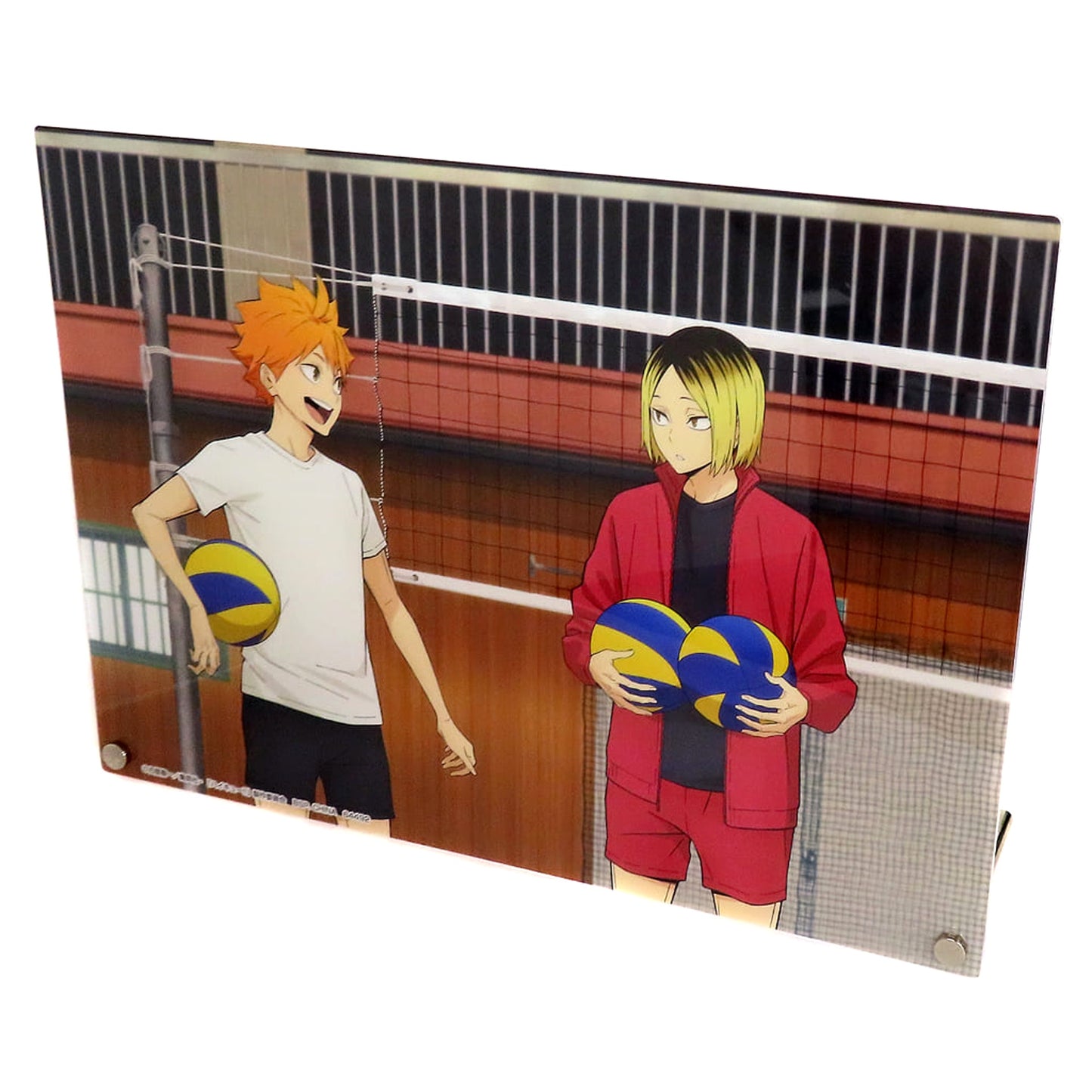 Haikyu!! Shoyo Hinata Kenma Kozume Ichiban Kuji 10th Anniversary! Acrylic Board Prize C Acrylic Stands [USED]