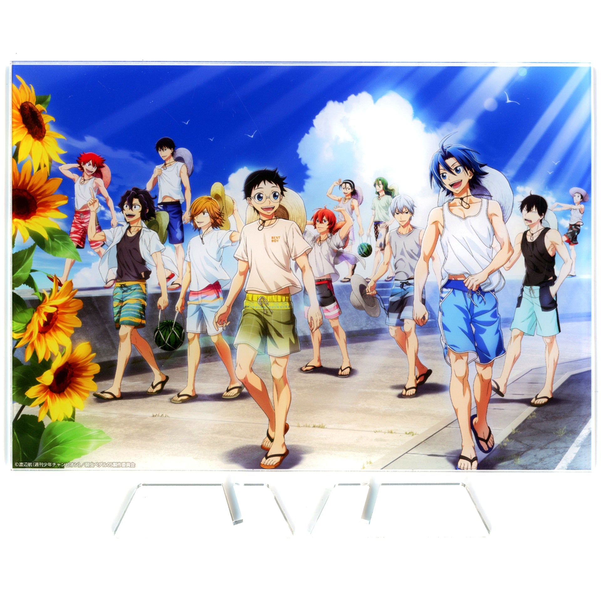 Group B Prize Straw Hat ver. Yowamushi Pedal LIMIT BREAK POP UP STORE Summer Days Speed Kuji Acrylic Panel [USED]