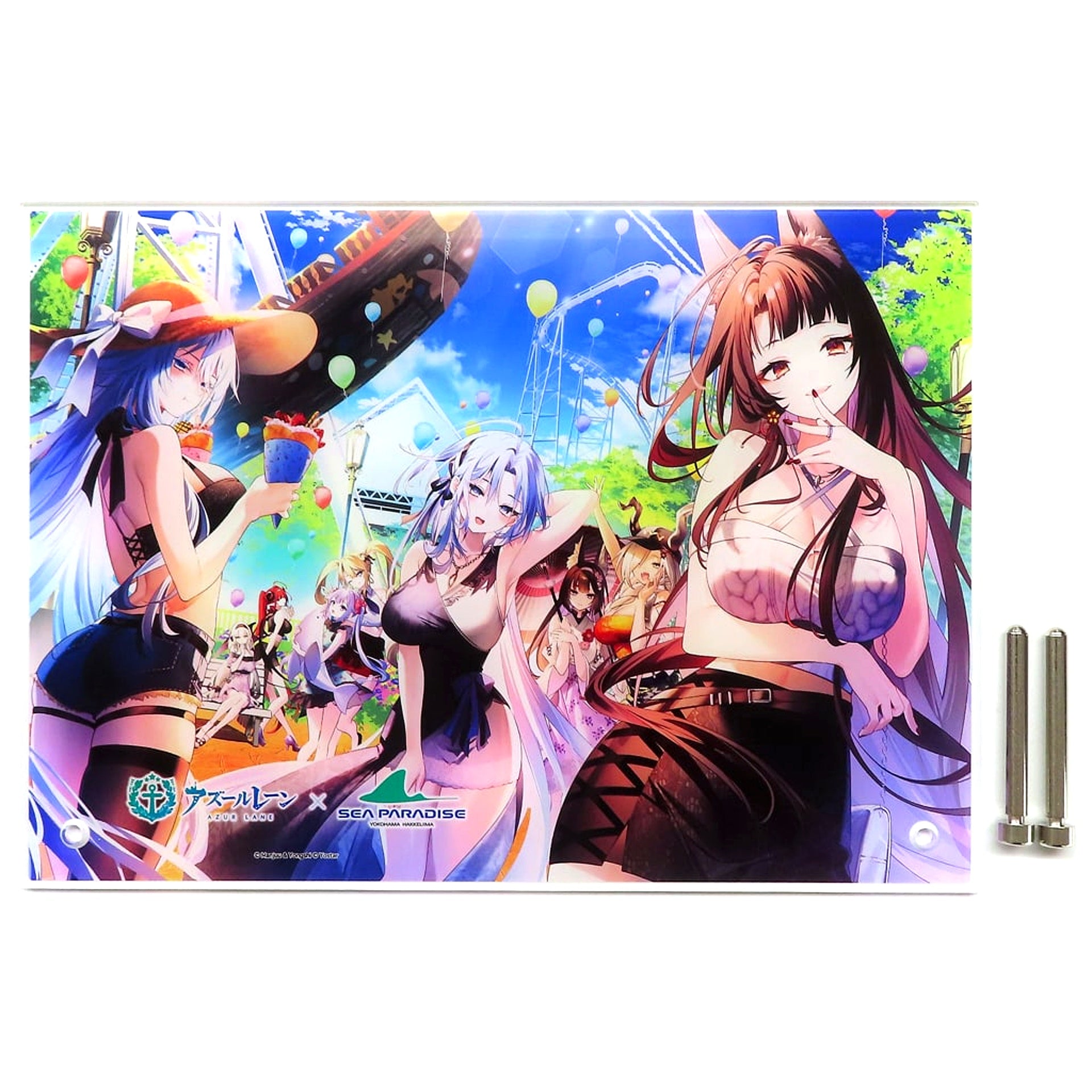 Group B5 Acrylic Board Azur Lane Yokohama Hakkeijima Sea Paradise [USED]