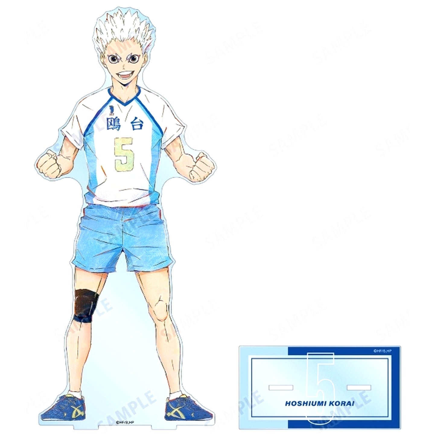 Korai Hoshiumi Ani-Art Vol.6 Extra Large Acrylic Stand Haikyu!! [USED]