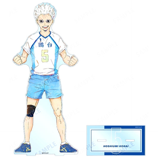 Korai Hoshiumi Ani-Art Vol.6 Extra Large Acrylic Stand Haikyu!! [USED]
