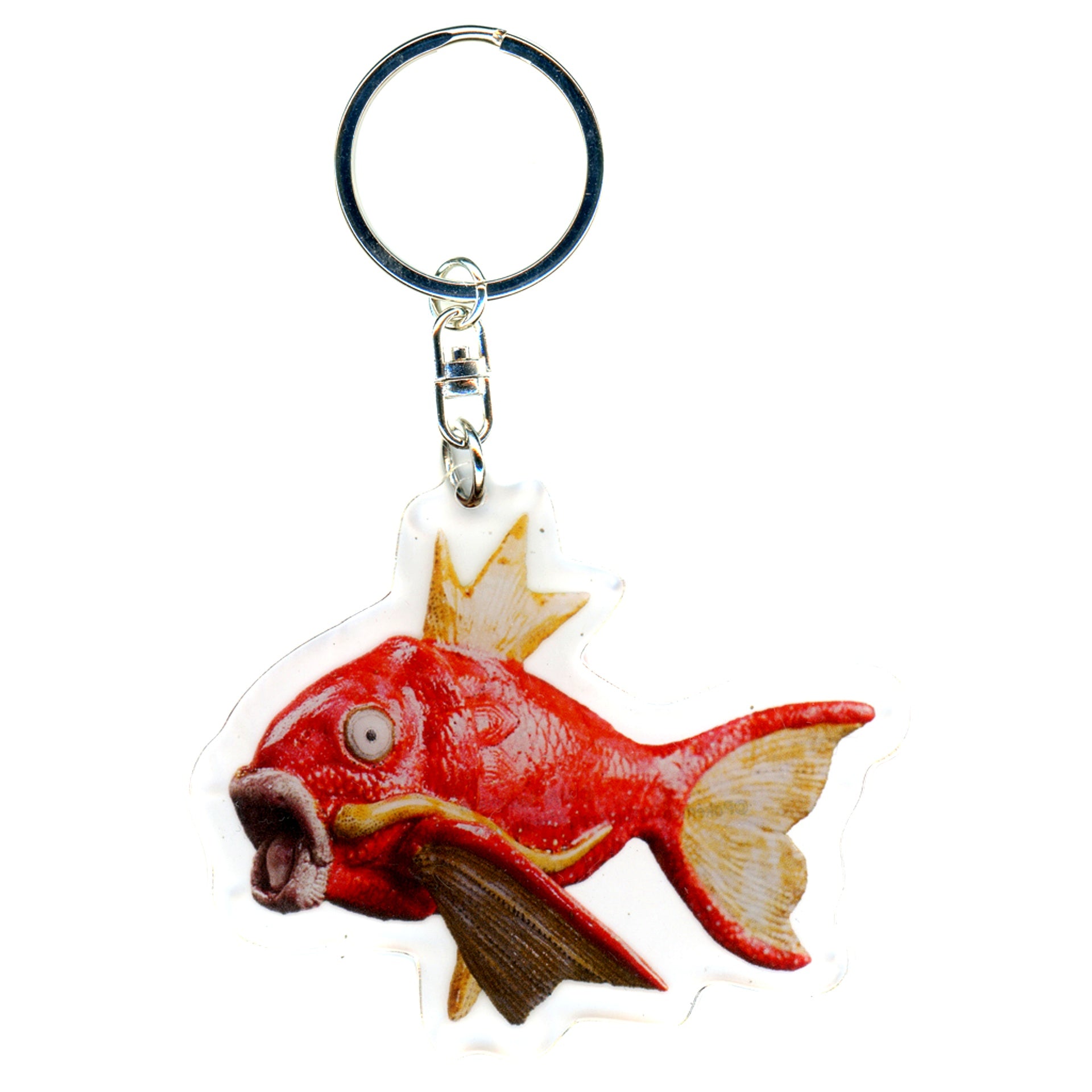 Magikarp Sadamasu Imai Pokemon Acrylic Keychain Pokemon x Kogei Discovery of Beauty and Art [USED]