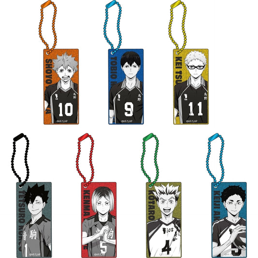 Set of 7 Haikyu!! Trading Metallic Keychain vol.2 [USED]