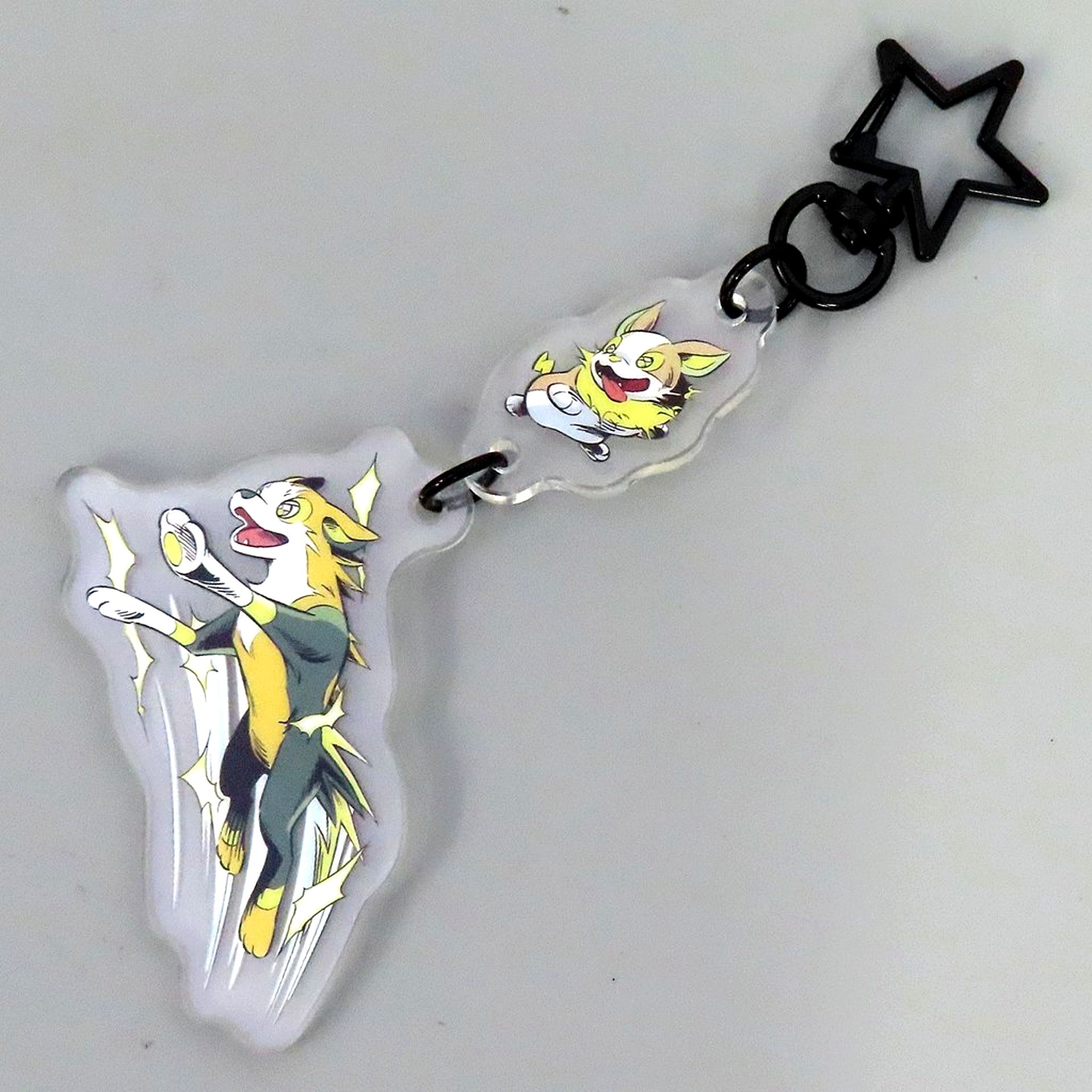 Yamper & Boltund SECRET of MIGHT 2-Charm Acrylic Keychain Pokemon Pokemon Center Limited [USED]