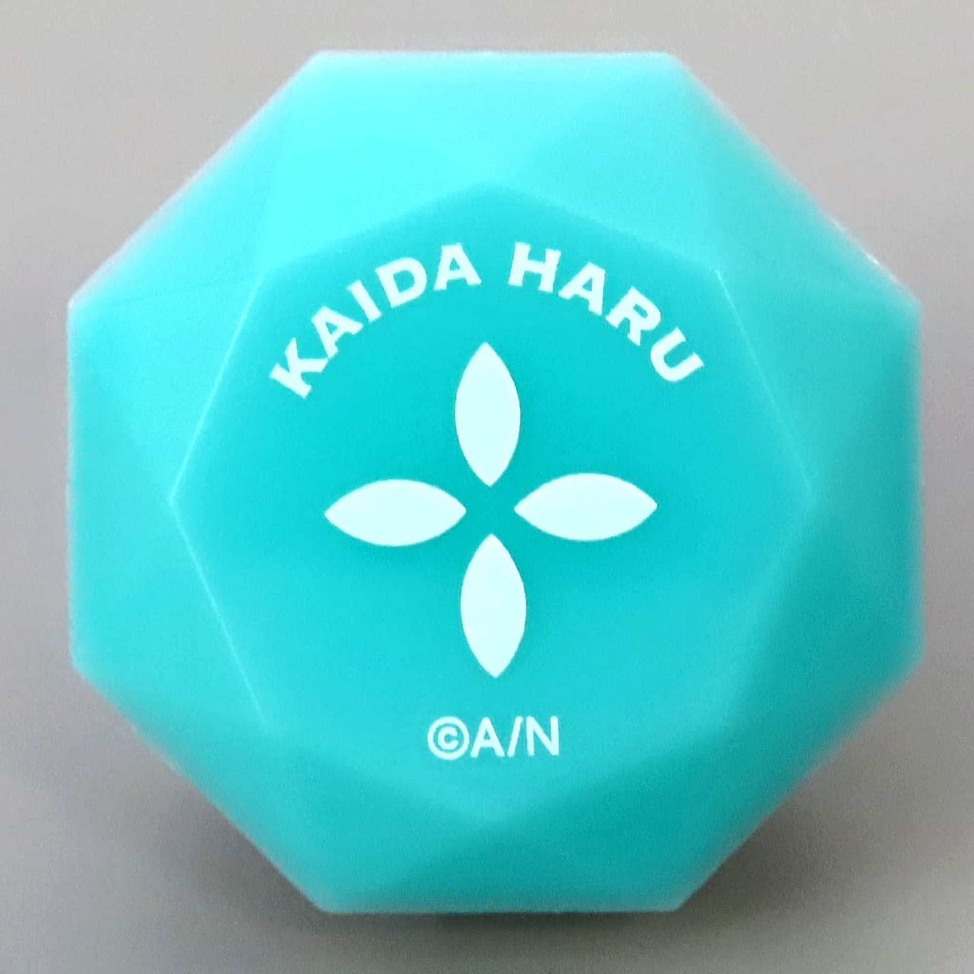 VTuber Nijisanji Kaida Haru Ring Light VALZ Live Tour 2024 Sankano Gaku Exclusive [USED]