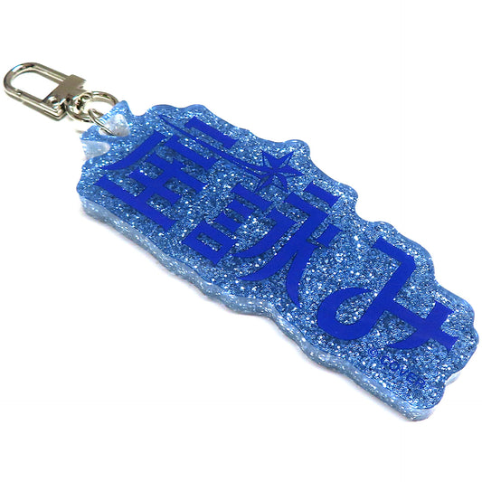 Hoshimachi Suisei Hololive Production Fan Name Charm [USED]