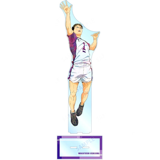 Wakatoshi Ushijima Ani-Art 7th Extra Large Acrylic Stand Haikyu!! [USED]