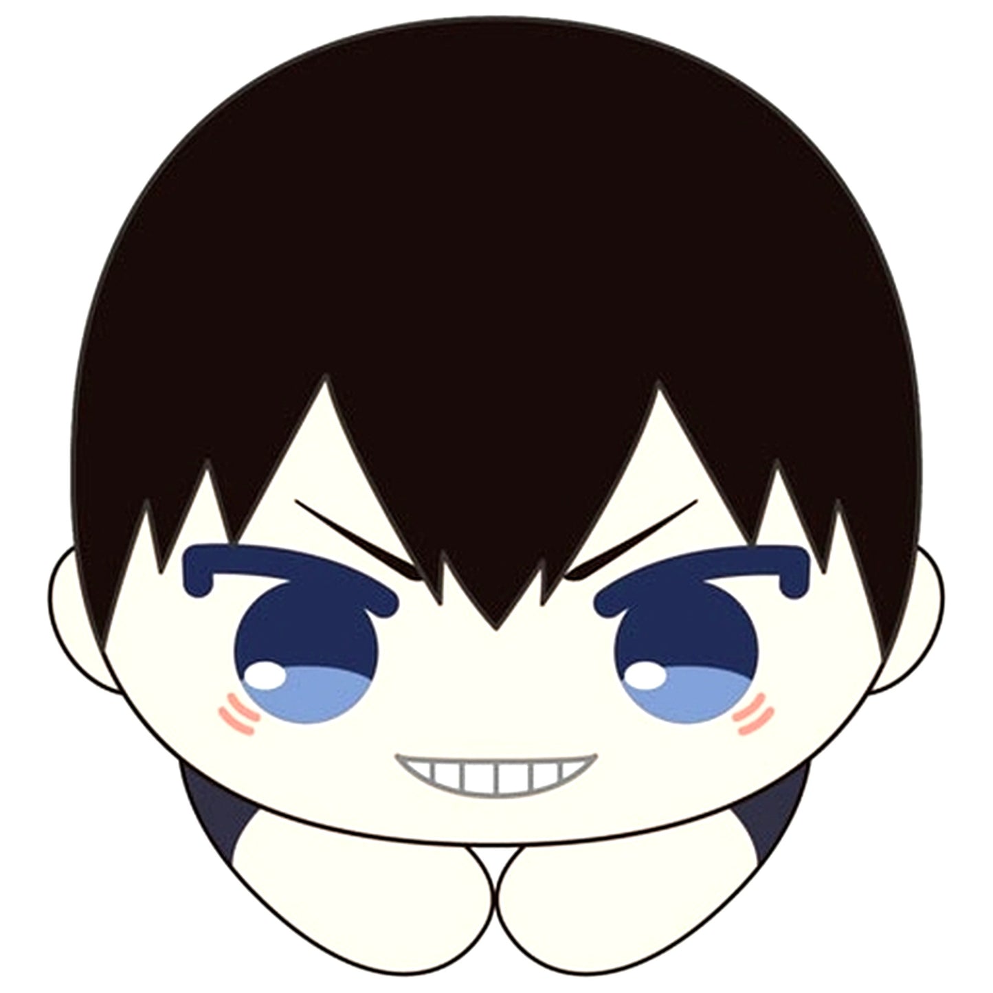 Tobio Kageyama Haikyu!! Hug Chara Collection 10 [USED]