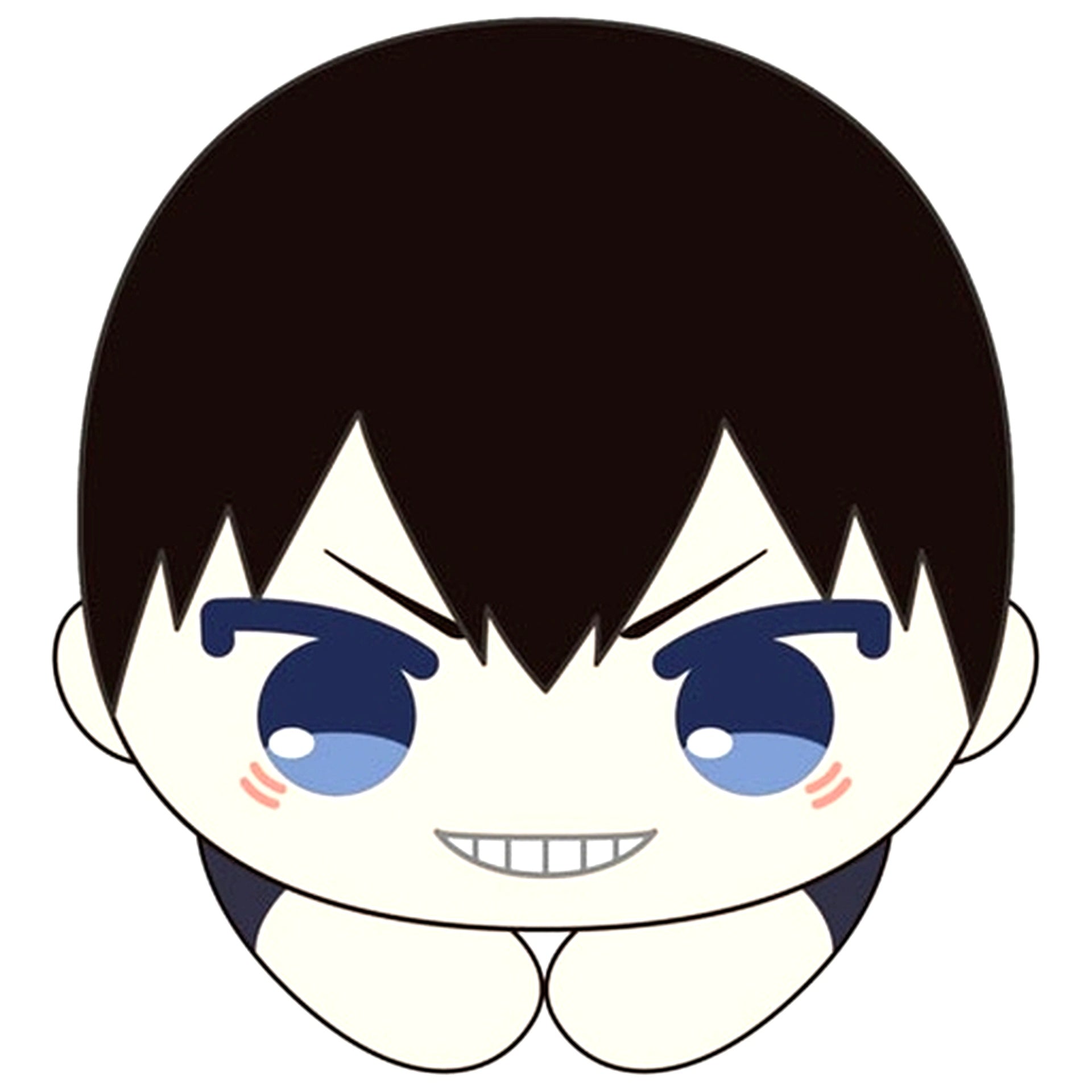 Tobio Kageyama Haikyu!! Hug Chara Collection 10 [USED]