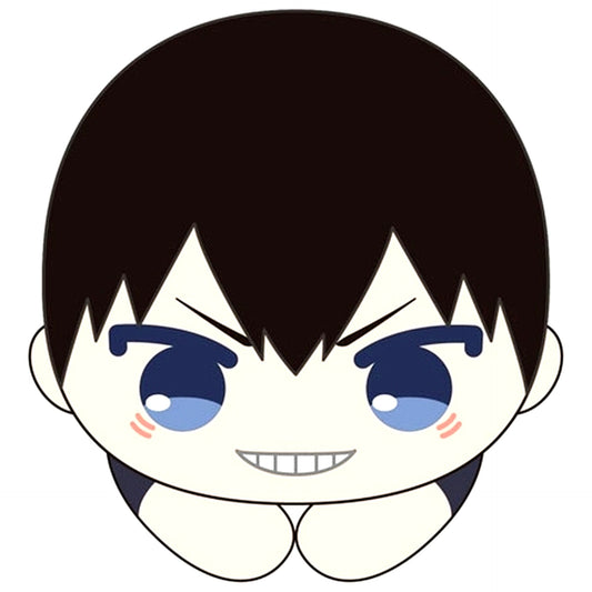 Tobio Kageyama Haikyu!! Hug Chara Collection 10 [USED]