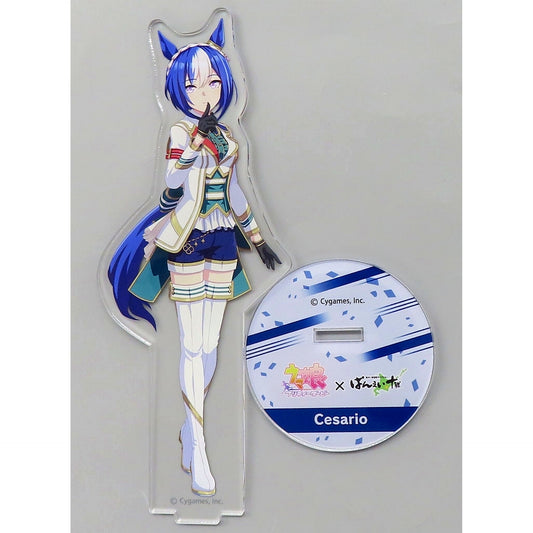 Cesario Uma Musume Pretty Derby x Banei Tokachi Obihiro Racecourse 2024 Acrylic Stand [USED]