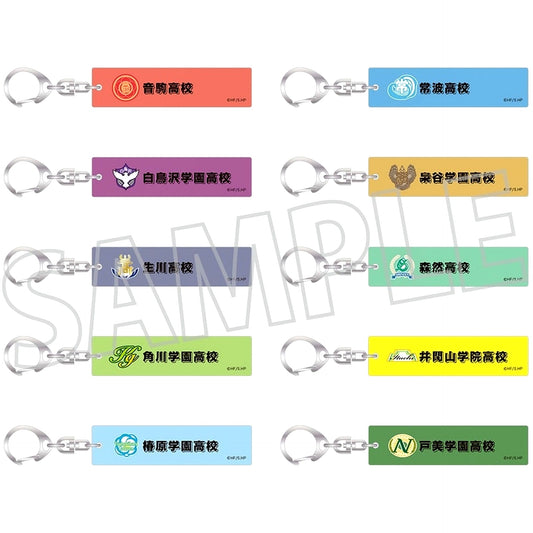 Set of 10 Haikyu!! Keychain Collection School Icon B [USED]