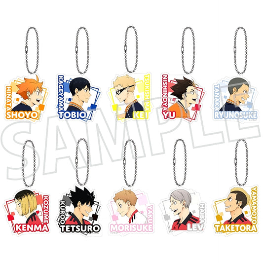 Set of 10 Haikyu!! Acrylic Keychain Collection [USED]