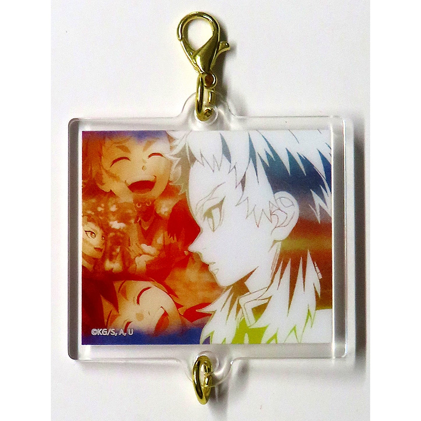 Giyu Tomioka Design 93 Anime Demon Slayer: Kimetsu no Yaiba Hashira Exhibition Hashira Hyakkei Kizuna Acrylic Charm 15 [USED]