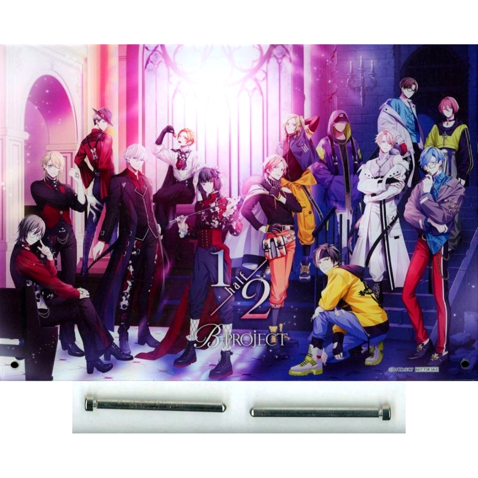 Group A Prize Acrylic Art Panel B-PROJECT 1/2 -half- POP UP SHOP in Marui Epos Card Members Limited Purchase Lottery [USED]