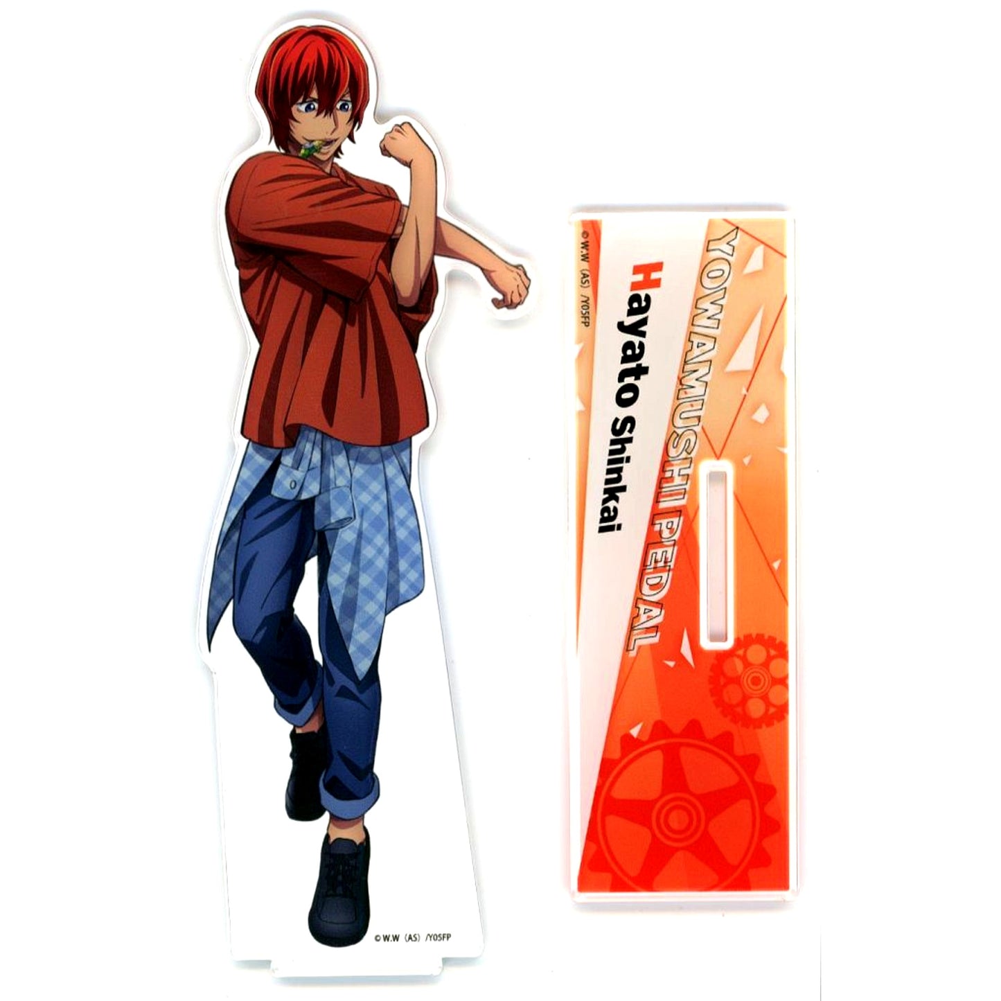 Hayato Shinkai Acrylic Stand TV Anime Yowamushi Pedal 10th Anniversary Festival [USED]