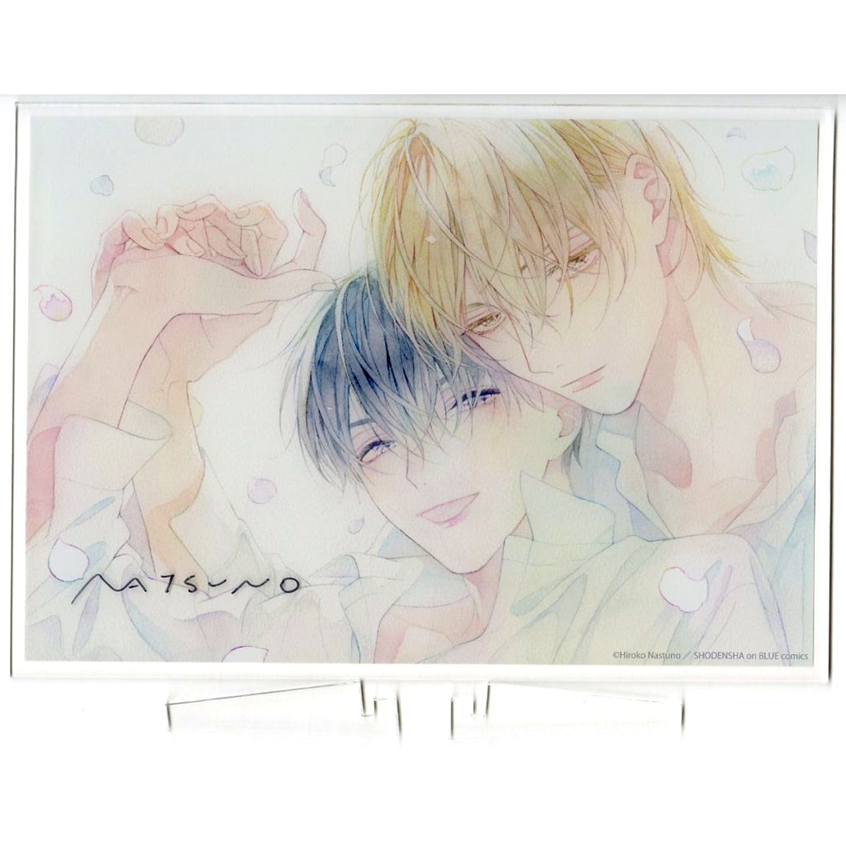 Hiroko Natsuno Illustration Autographed A4 Size Acrylic Plate At 25:00 in Akasaka [USED]