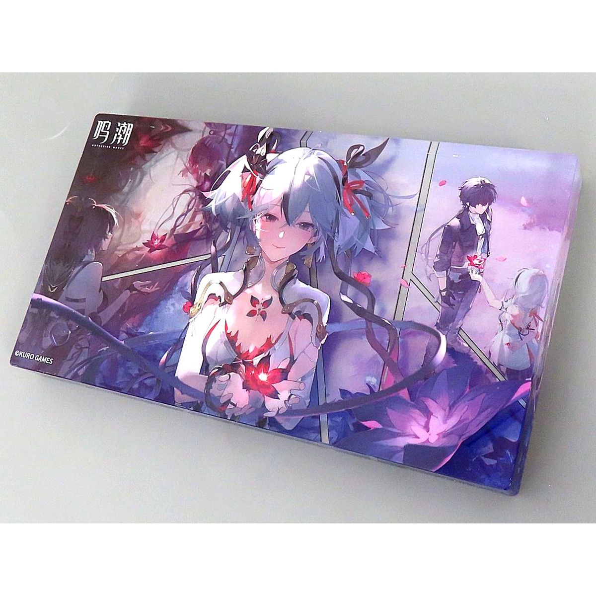 Camellya Main Visual Binary Star Memory Series Acrylic Block Wuthering Waves [USED]