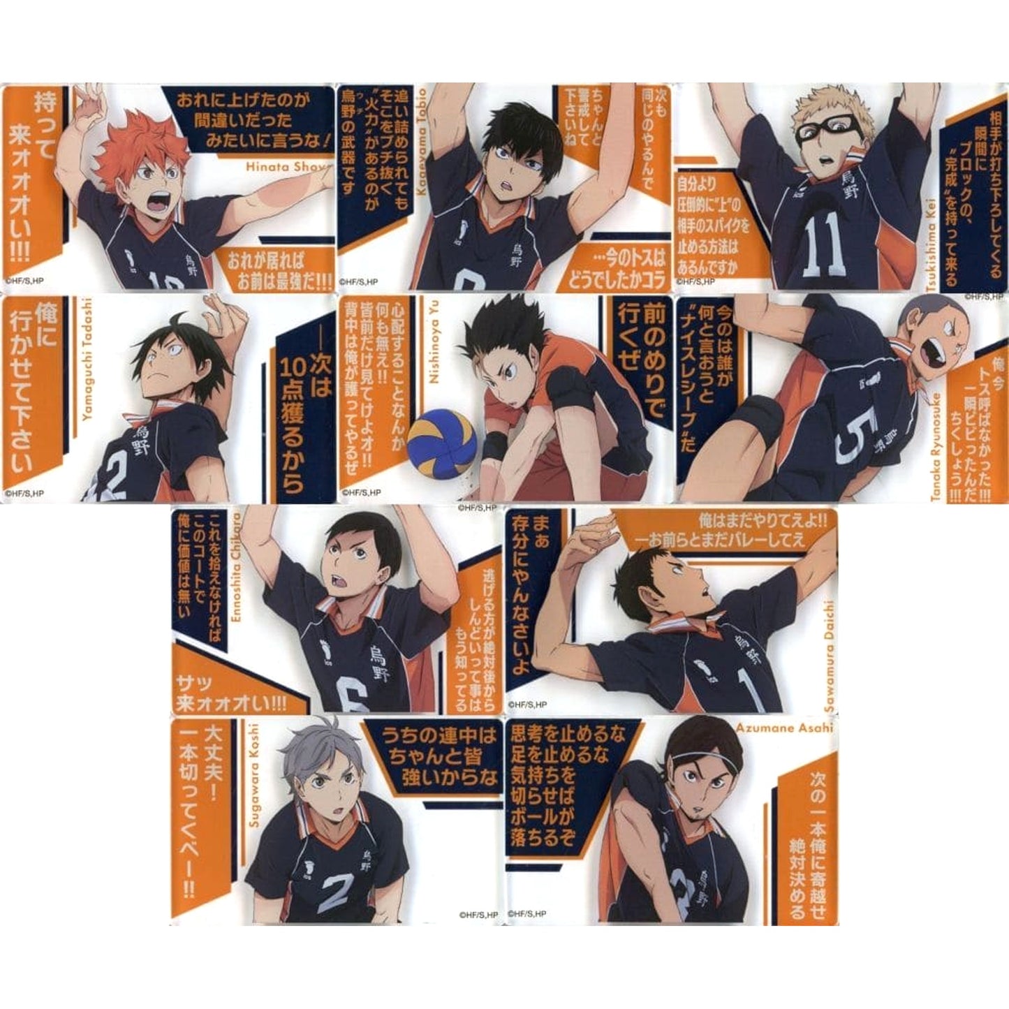 Haikyu!! Shoyo Hinata & Others All 10 Types Set Acrylic Block Collection Karasuno High School Acrylic Item [USED]
