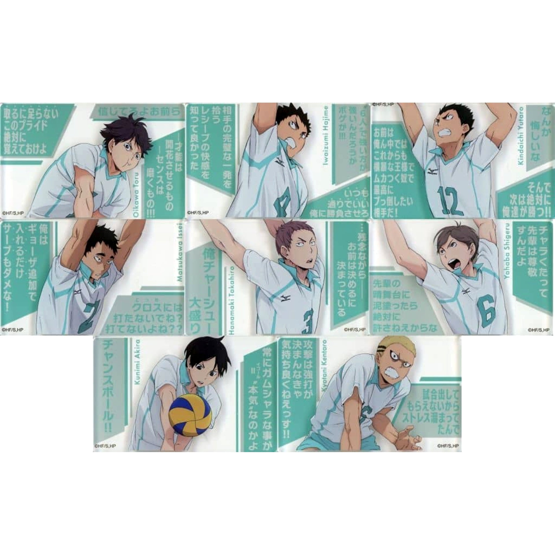 Haikyu!! Toru Oikawa & Others All 8 Types Set Acrylic Block Collection Aobajosai High School Acrylic Item [USED]