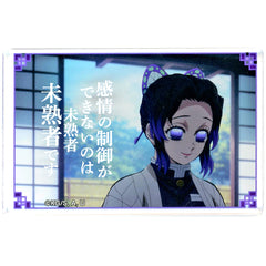 Shinobu Kocho Demon Slayer: Kimetsu no Yaiba Hashira Training Arc Famous Quote Mini Acrylic Block [USED]