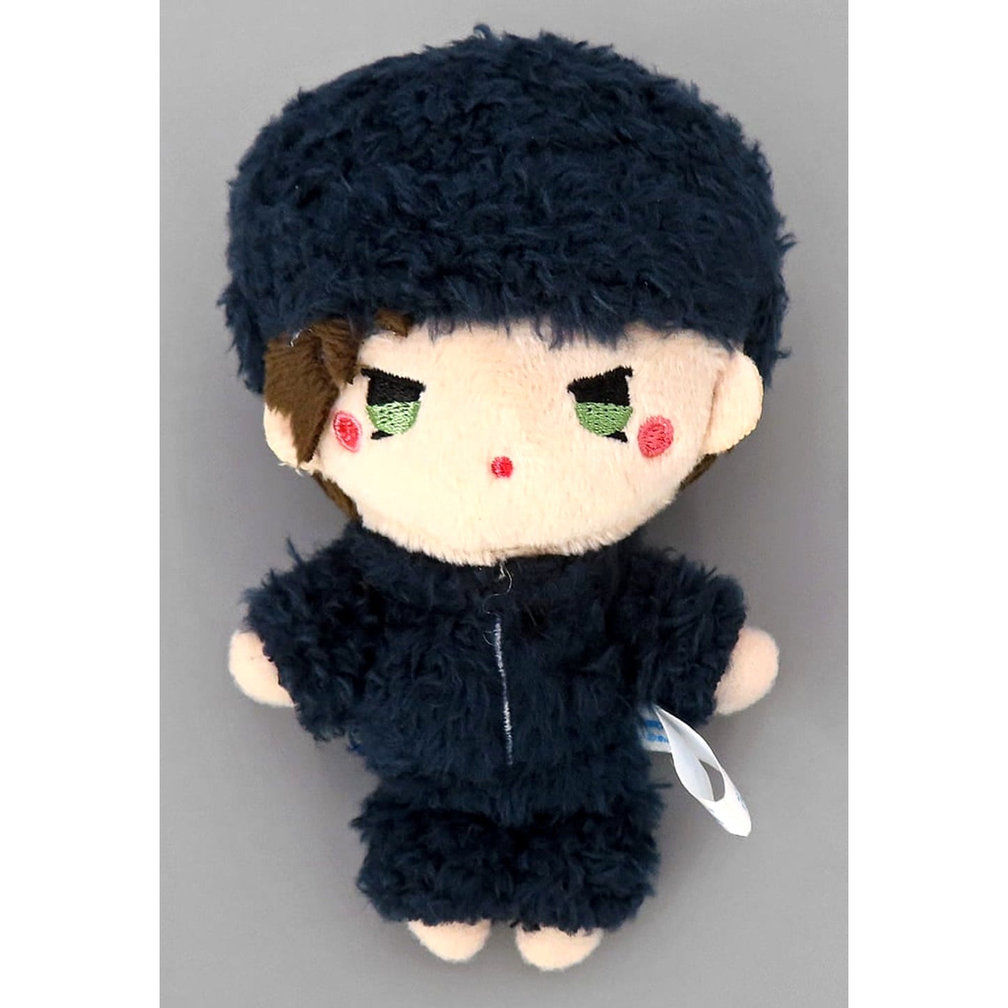 Detective Conan Shuichi Akai Sega Lucky Lottery Online Mokomoko Relax Time Plush Mascot Prize D-8 [USED]