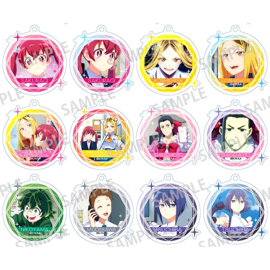 Set of 12 Magilumiere Magical Girls Inc. Trading Acrylic Keychain Scene Shot [USED]