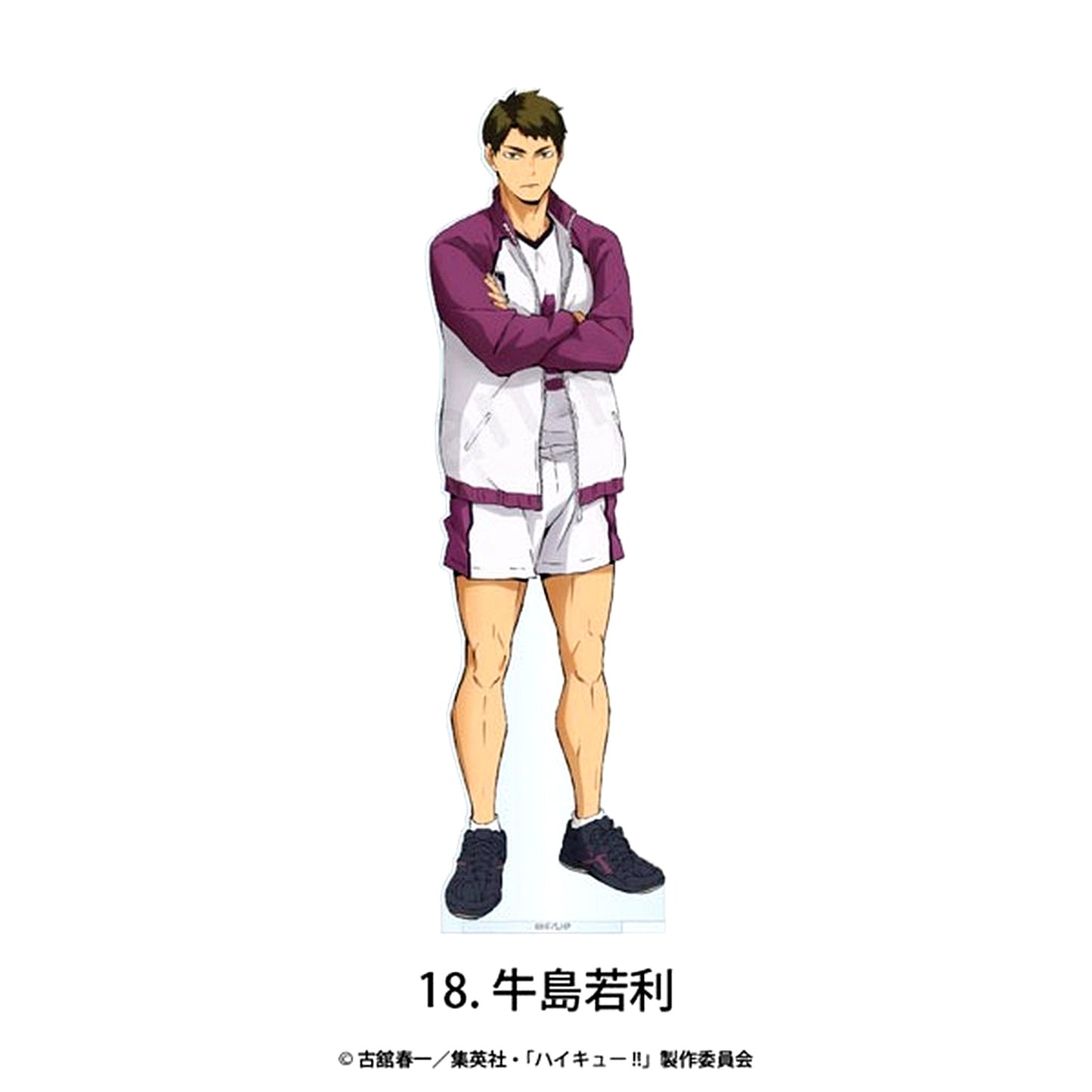 18. Wakatoshi Ushijima Borderless Acrylic Stand Haikyu!! [USED]
