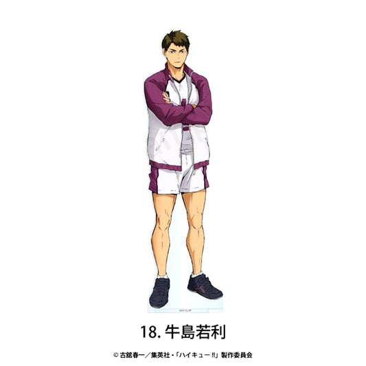 18. Wakatoshi Ushijima Borderless Acrylic Stand Haikyu!! [USED]